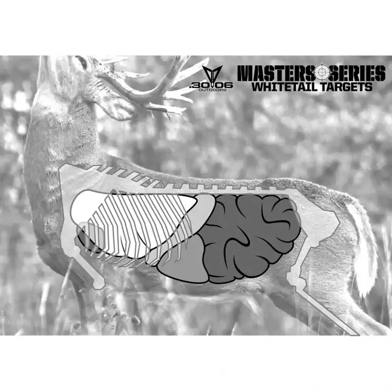 30-06 Outdoors Masters Series Whitetail Paper Target - One Day Deal